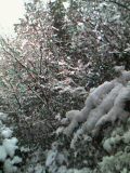 080224_1015~0001_0001.jpg
